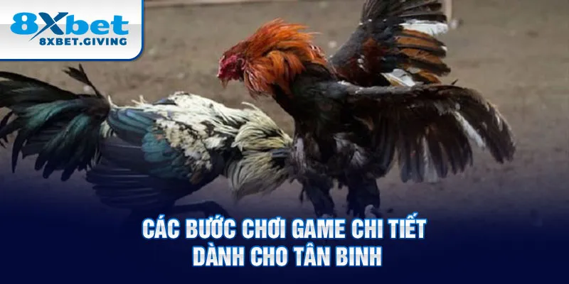 Các bước chơi game chi tiết dành cho tân binh